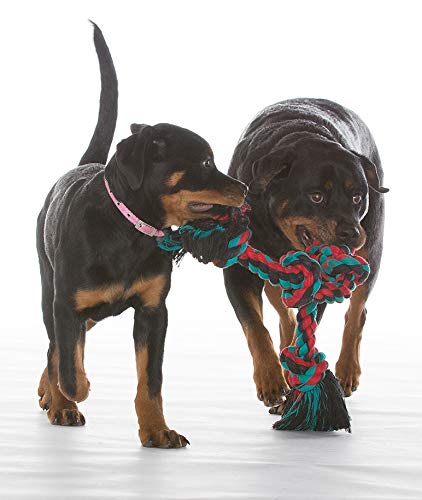 Mammoth Flossy Chews Color Rope Tug (X-Large 31" / 4 Knot)