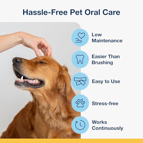ProDen Mini Dental Bones for Dogs