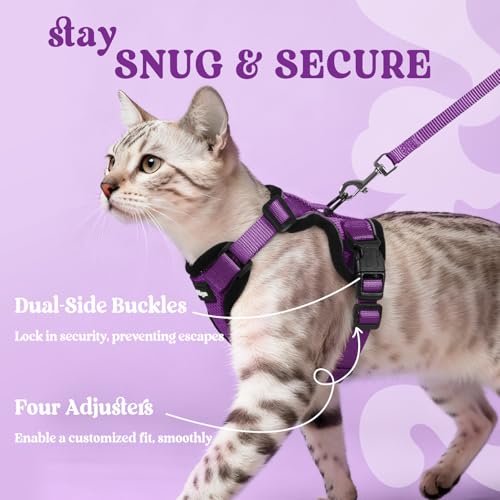 Cat Harness and Leash Set (M / Purple)