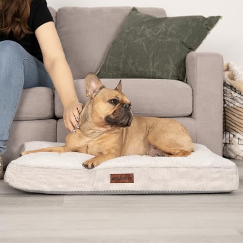 Orthopedic Dog Bed (Medium / Light Gray)