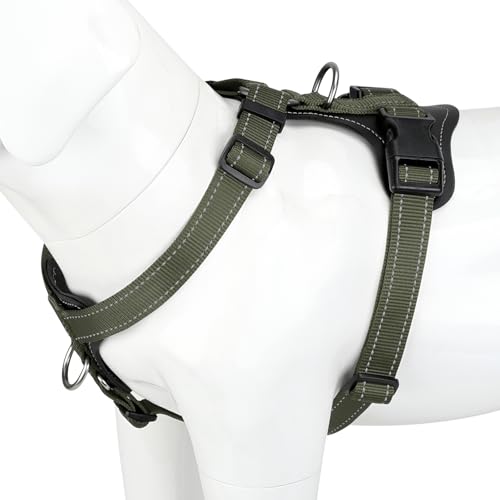 No Pull Dog Harness with Leather Accents (M / Ranger Green)