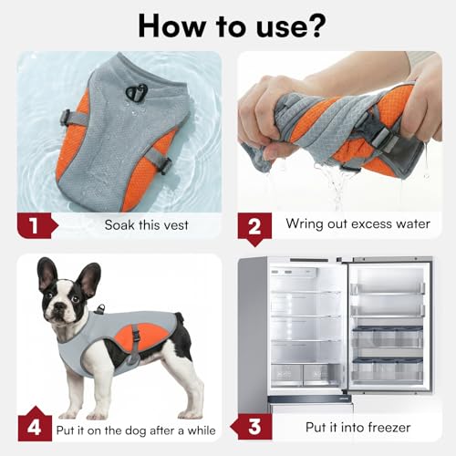 Cooling Vest for Extra (Orange / XXX-Large)