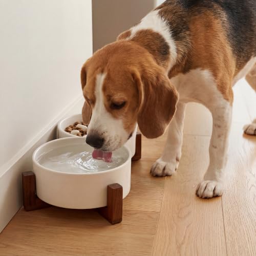 WHUD Elevated Ceramic Dog Bowls with Wooden Stand for Small to Medium Sized Dogs