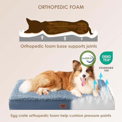 Orthopedic Dog Bed Extra Large with Removable Washable Cover (47*29*3.5 inches / Spa Blue)