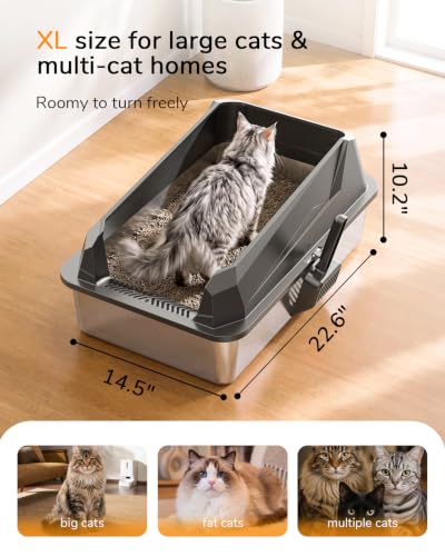 XL Cat Litter Box (Dark Gray)