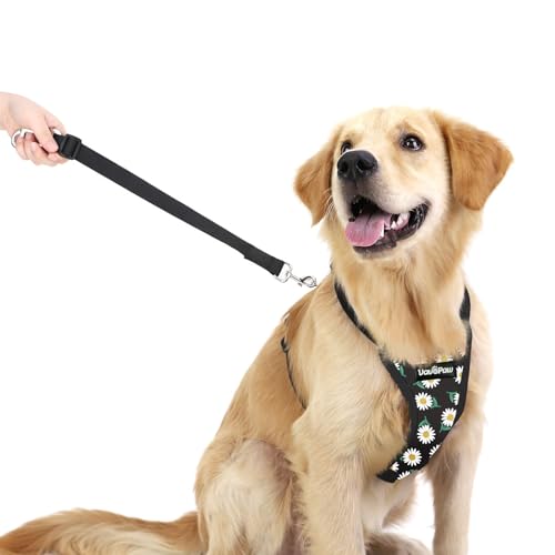 Dog Seat Belt (Black Daisy / L (Chest: 22-32.3", Neck: 16.9-26"))