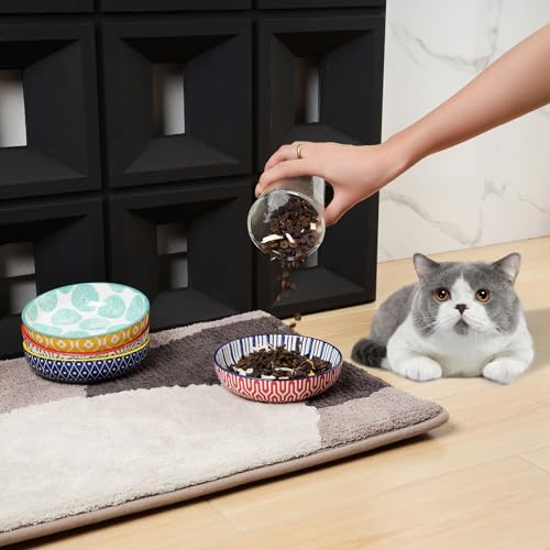 Ceramic Cat Food Bowl Set of 4 (5.6 Inch, Set of 4 / Assorted Colors)