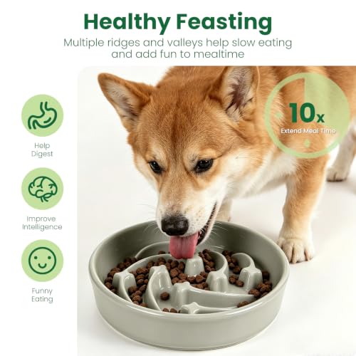 Slow Feeder Dog Bowls Anti (Grey)