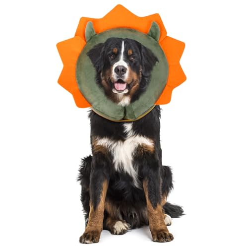 Inflatable Recovery Dog Collar (Green Demon / X-Large (Neck:20''-23''))
