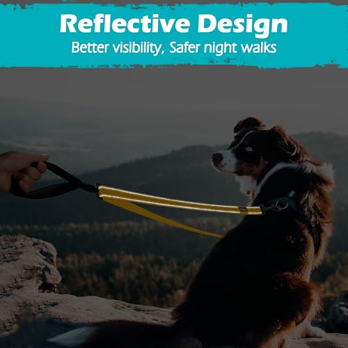 Two Point Control Dog Leash (Yellow)