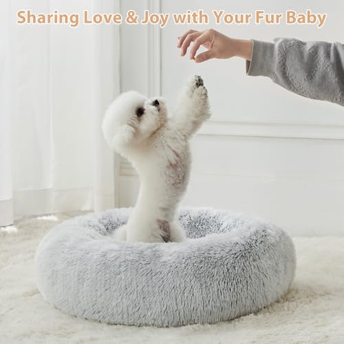 Small Round Calming Dog Bed Cat Bed for Comfy Sleep (24"L x 24"W x 8"Th / light grey)