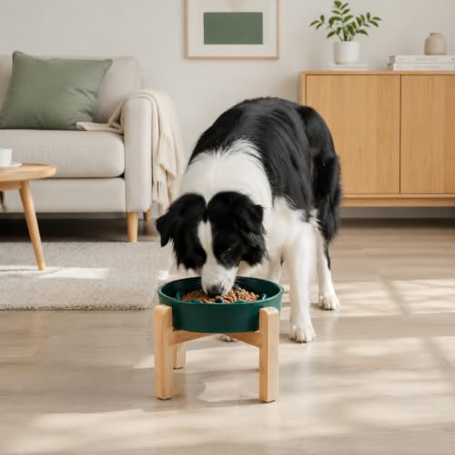8.66 in Dog Bowl Ceramic Slow Feeder for Medium Large Dogs (Green / 8.66in)