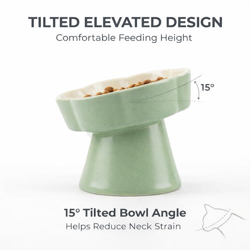 Ceramic Elevated Slow Feeder Cat Bowl (Green/Ivory)