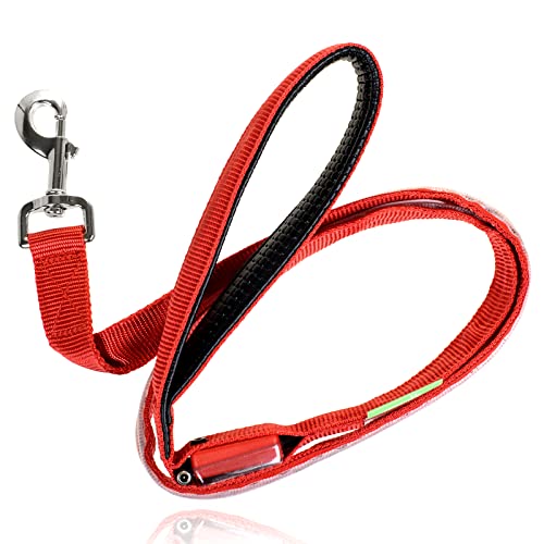 LED Light Up Dog Leash (4 Feet / Ruby Red)