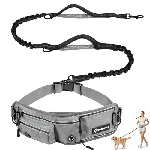Hands Free Dog Leash with Waist Pack Bungee for Running Gray (Gray)