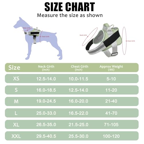 Dog Harness No (Small (Pack of 1) / CreamGreen)