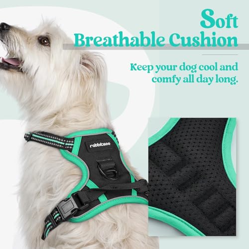 Dog Harness No Pull for Small Dogs with 2 Leash Clips (X-Small / Black & Turquoise)