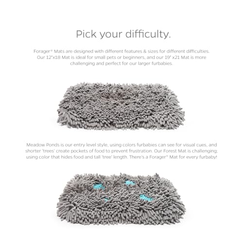 Forager Snuffle Mat with SoftSnout & Non