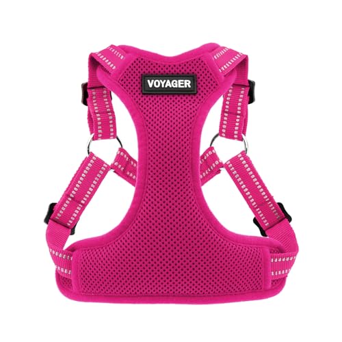 Voyager Step in Flex Adjustable Dog Harness (Harness (Fuchsia) / XL)