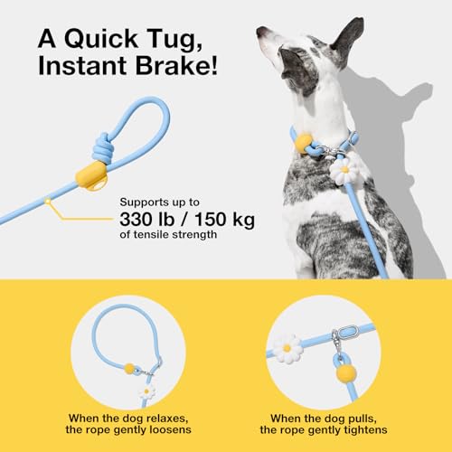 Hands Free Dog Leash (Daisy Blue)