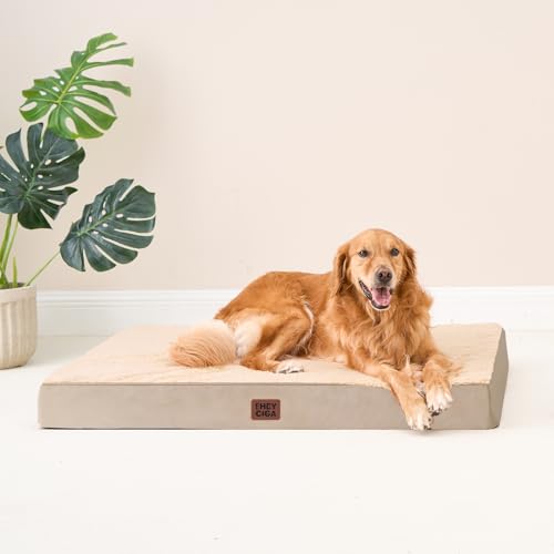 Orthopedic Dog Bed Large with Removable Washable Cover (50*36*4 inches / khaki)