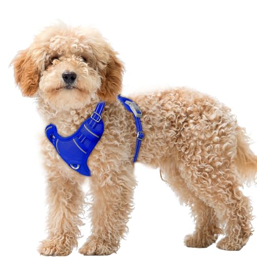 Dog Harness for Small Sized Dog No Pull Dog Vest ID Tag Pocket (Sapphire Blue / X-Small)