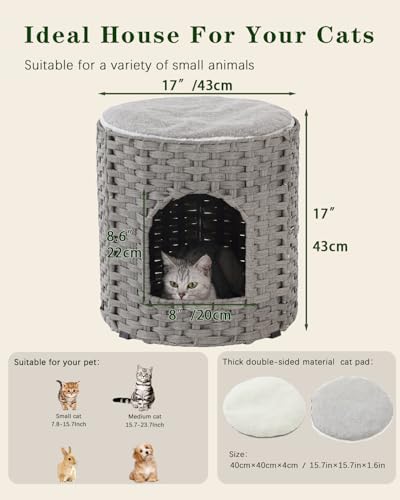 Cat House for Indoor Cat (Gray / Round-XL)