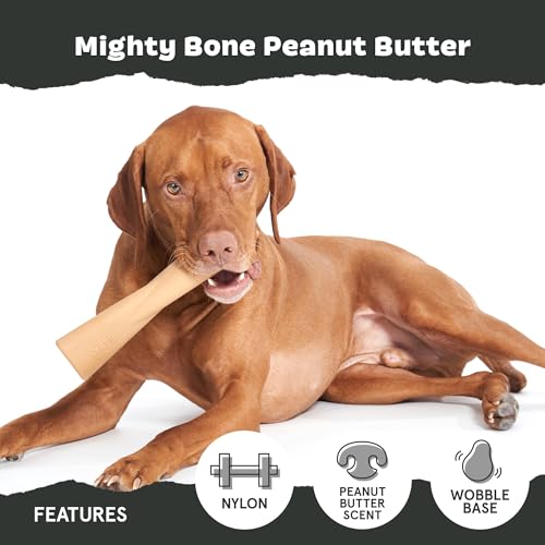 Peanut Butter Bone Super Chewer (Large / Mighty Bone PB)