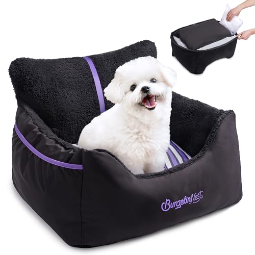Dog Car Seat for Small Dogs & Cats Under 25 lbs (Black Purple / Small)