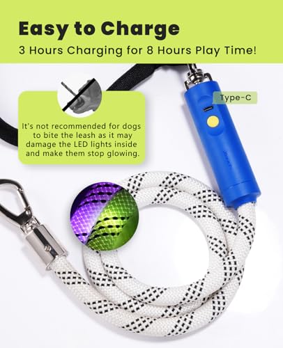 Light Up Dog Leash (Leash-5Ft)