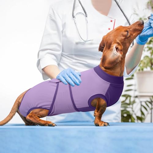 Dog Recovery Suit (Purple / XX-Large)