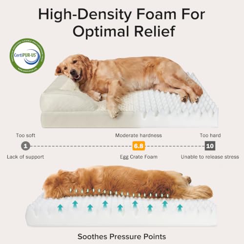 Orthopedic Large Dog Bed (L (35"x 25"x 6.5") / Beige)