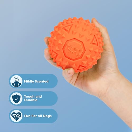 Squeaky Dog Toys with Soft Durable Fabric for Small (Orange / Large)