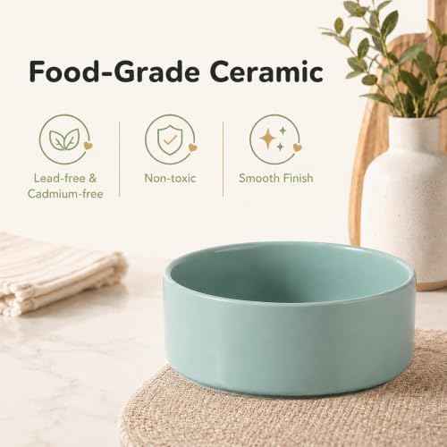 Ceramic Dog Bowls (Light Green)
