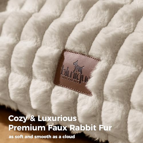Cat Couch Bed with Fluffy Faux Rabbit Fur for Indoor Cats (Off White / Small: 24"L x 18"W x 10"Th)