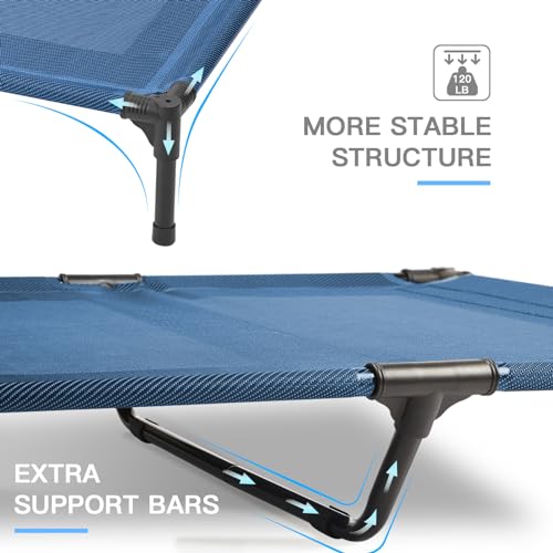 Elevated Dog Bed for Medium Dogs (L (36"L x 30"W x 7"H) / Blue)