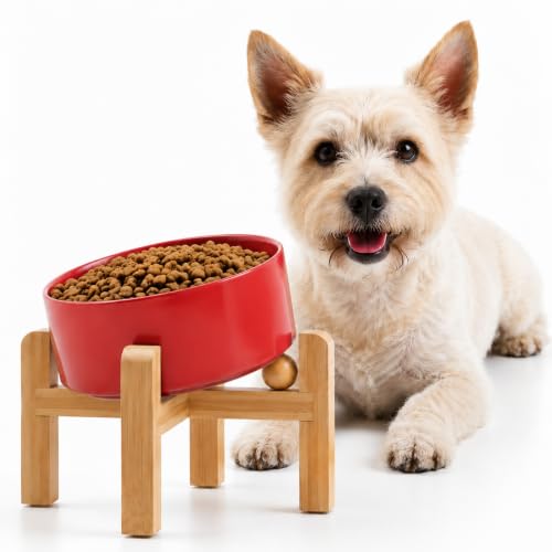 Raised Elevated 15°Slanted Ceramic Dog Bowl for Small Breeds (Rust Red / 1.7 CUPS - Puppy/Small Dogs & Cat Bowls)