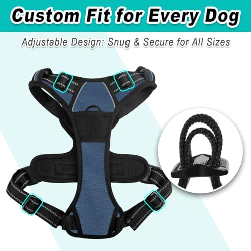 Dog Harness for Medium Sized Dog No Pull 2 Leash Clips Dog Vest (Medium / Navy)