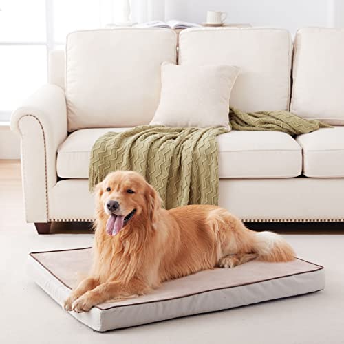 Orthopedic Memory Foam Dog Bed (Khaki Short Plush / XX-Large-47"x 29" x 3.5")