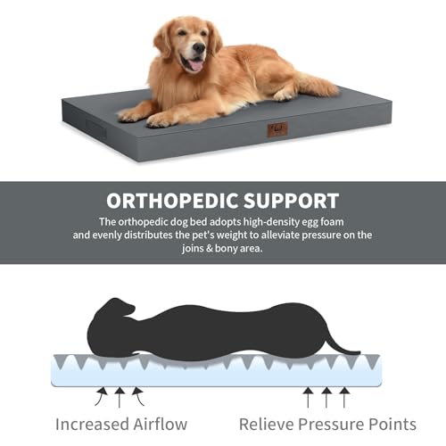 Waterproof Orthopedic Dog Crate Bed for Small Dogs & Cats (Grey / 23.0"L x 17.0"W x 2.5"Th)