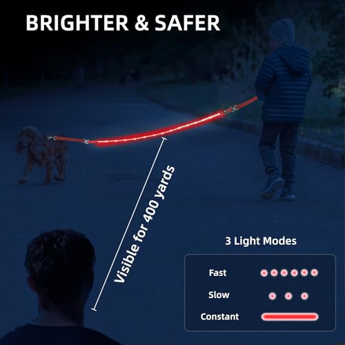 Light up Dog Leash for Night Walking (6 FT / Purple)