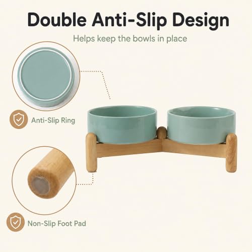 Ceramic Dog Bowls Elevated (Light Green)