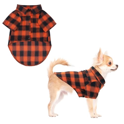 Fall Dog Shirt (Small / Orange)