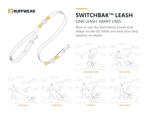 Switchbak Dog Leash (Blue Pool / One Size)