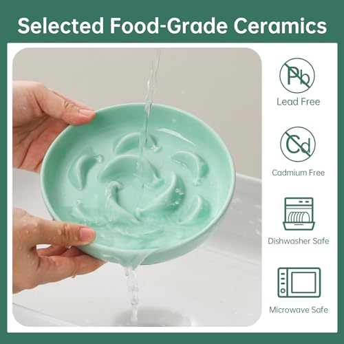2 Pack Ceramic Cat Slow Feeder Bowl Set (White and Green)