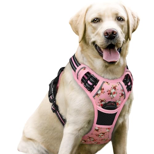 Dog Harness No Pull for Large Dogs with 2 Leash Clips (Large / Pink Rose)