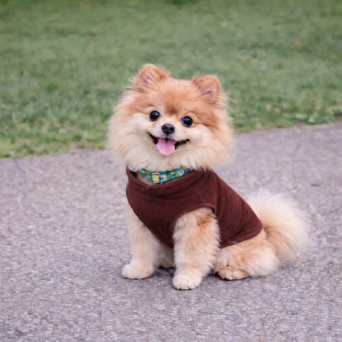 Dog Fleece Vest Sweater with Leash Ring (L (10-16lbs) / Chocolate Brown)