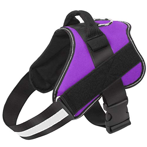 Dog Harness No (X-Small (Pack of 1) / Purple)