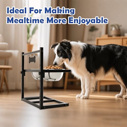 Elevated Dog Bowls for Dogs (2 Dog Bowls / Height: 6-15.5")