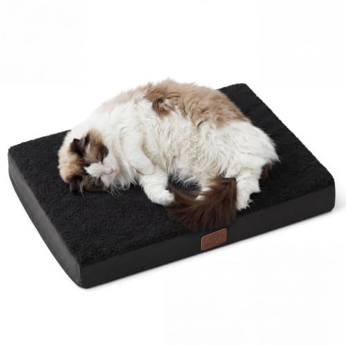 Small Dog Bed (24"L x 16"W x 3"Th / Black)